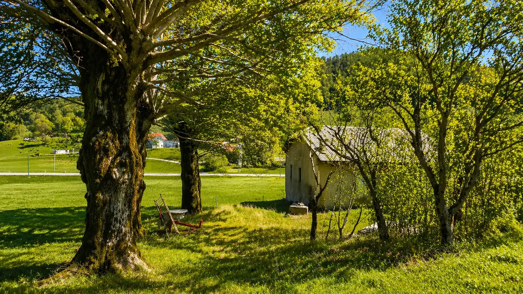 9-1-3 Nova Gorica area – Sweet cottage for renovation in Lokve