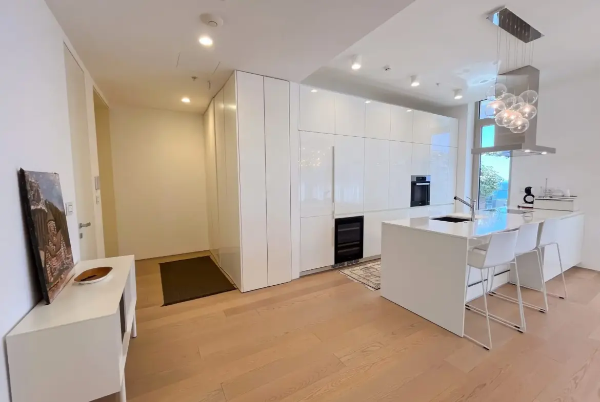 Modern three bedroom apartment