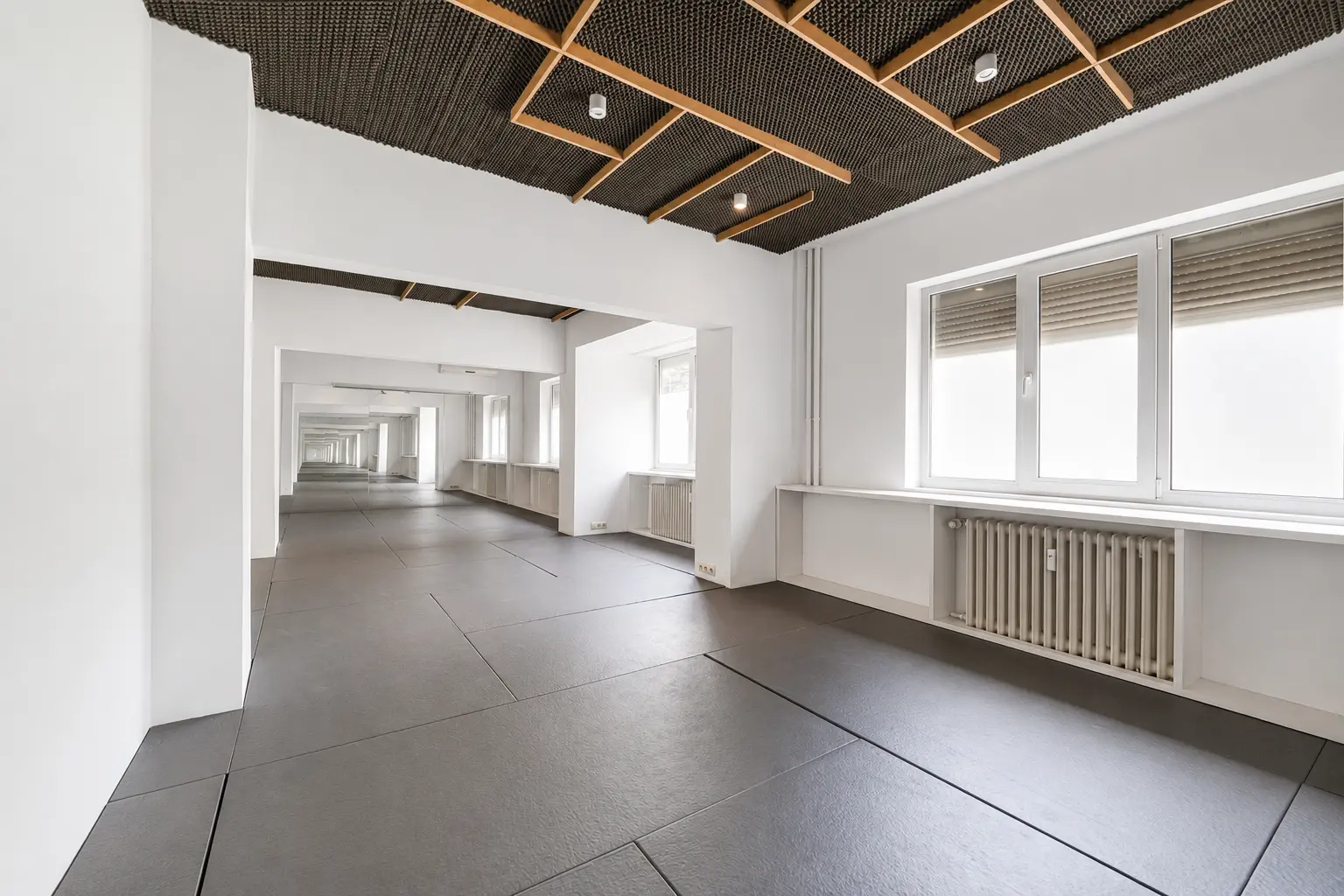 Two-bedroom apartment on the ground floor in the Center of Sofia for sale