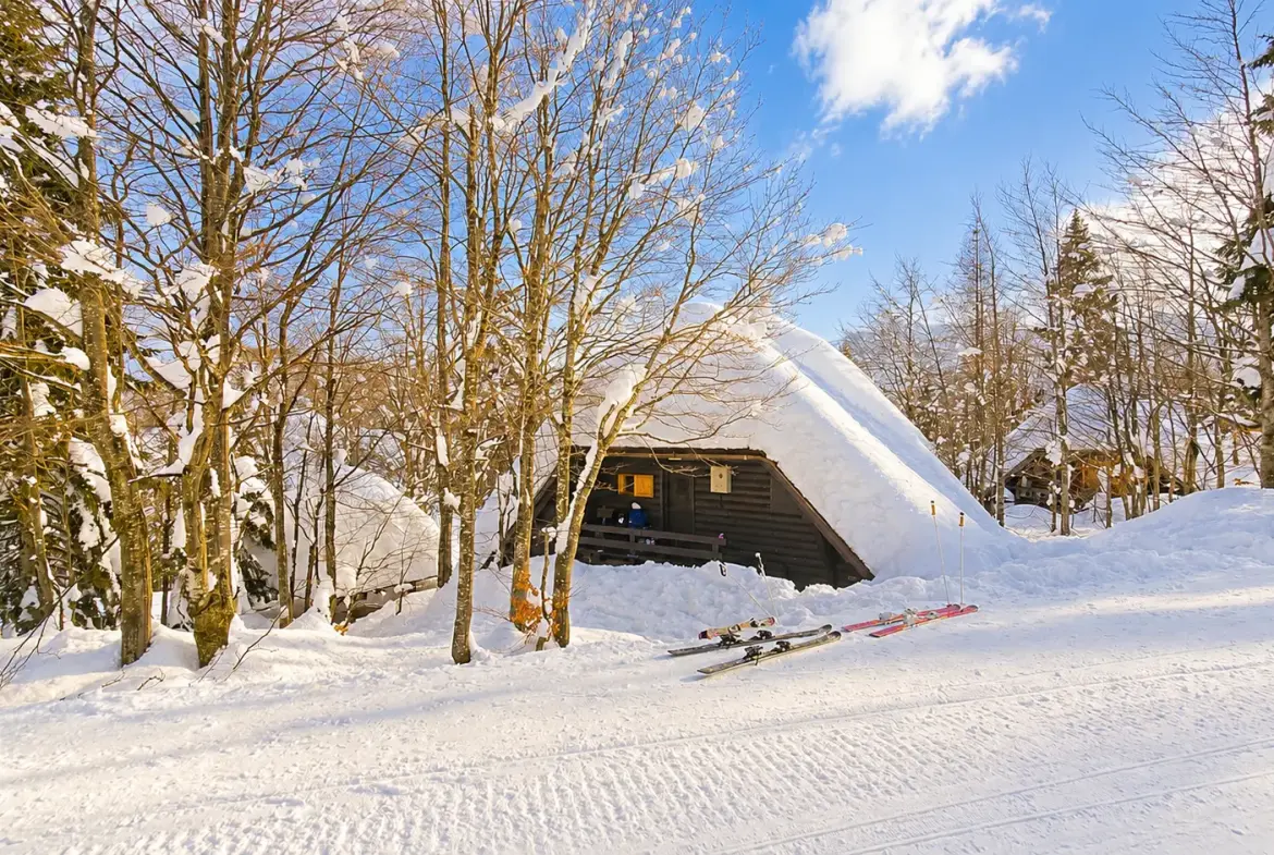 Bohinj area – Ski-In/Ski-Out Alpine Cottage in Vogel