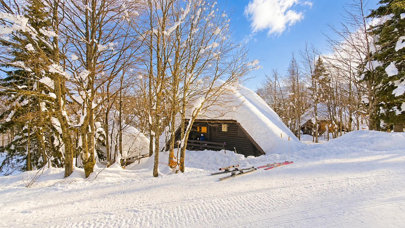 Bohinj area – Ski-In/Ski-Out Alpine Cottage in Vogel