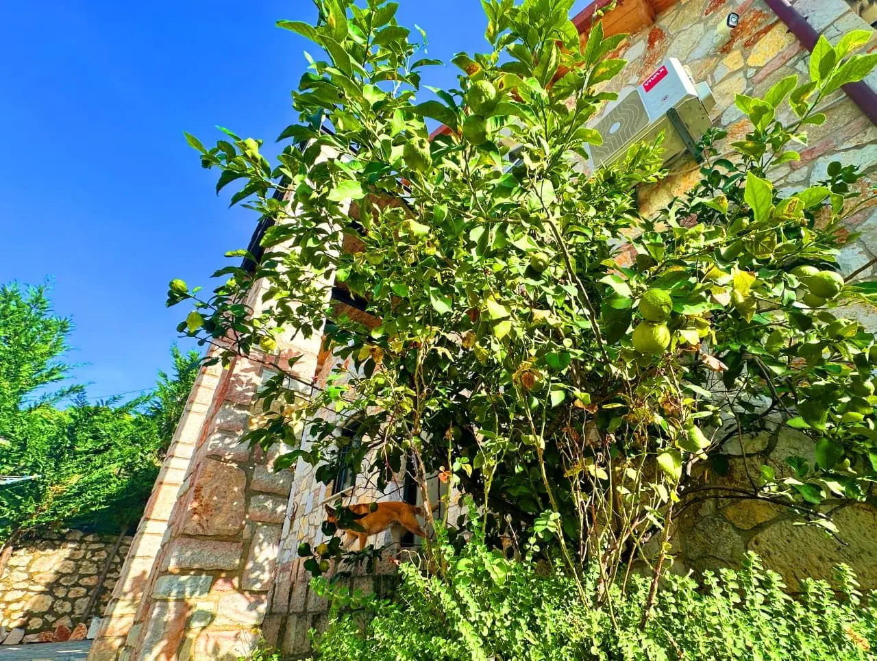 IMG-20251119-WA0012 Stone Villa For Sale In Saranda Albania With Panoramic Sea Views
