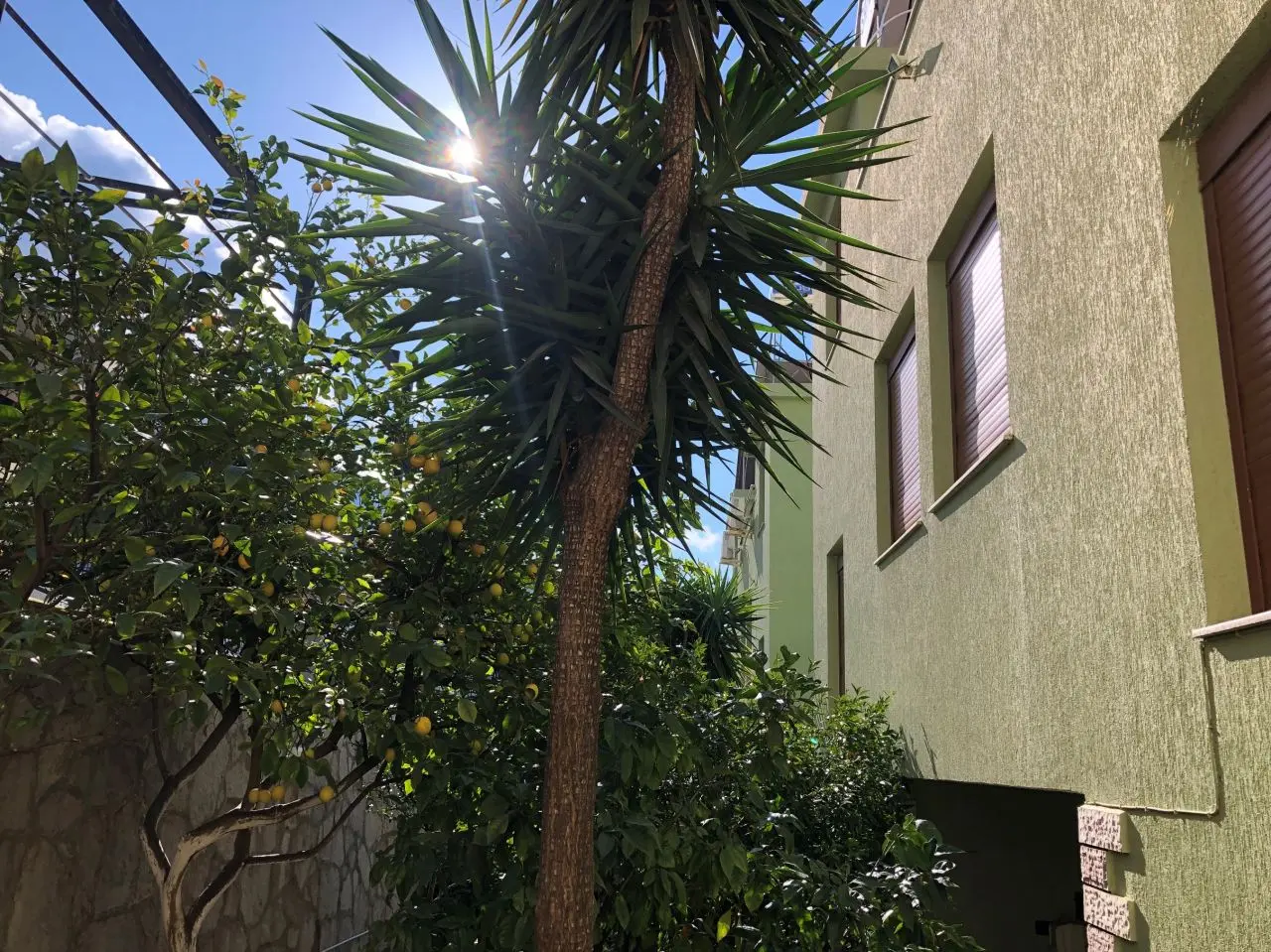 Villa for Sale in Vlore Albania Seaview