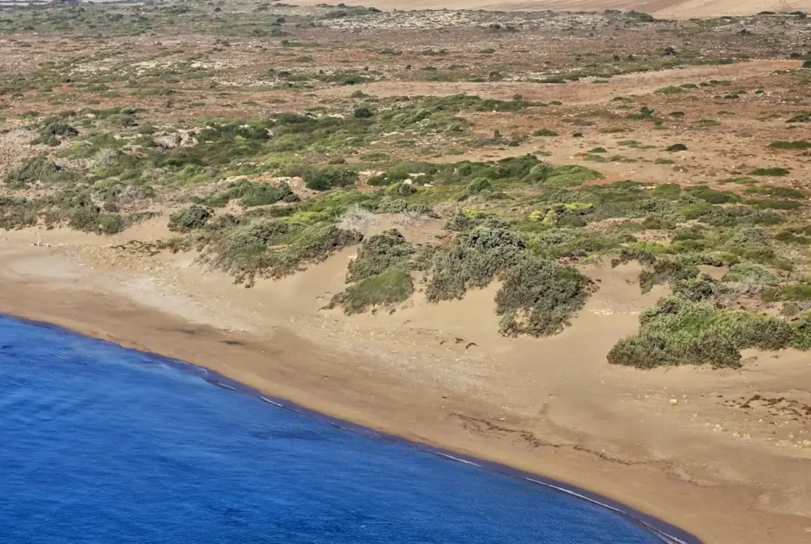 Immaculate Beauty – Land in Rhodes