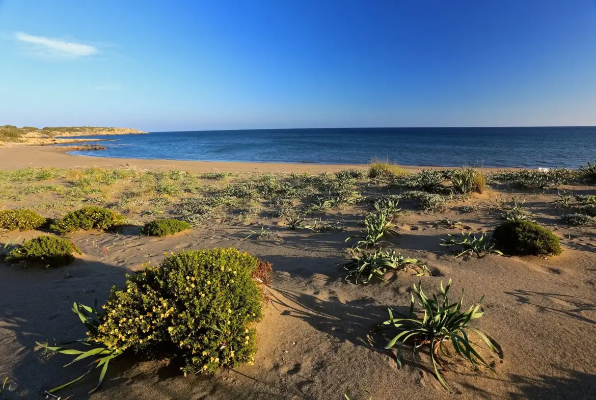 Immaculate Beauty – Land in Rhodes