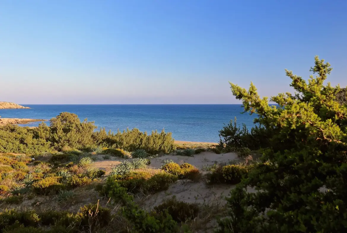Immaculate Beauty – Land in Rhodes