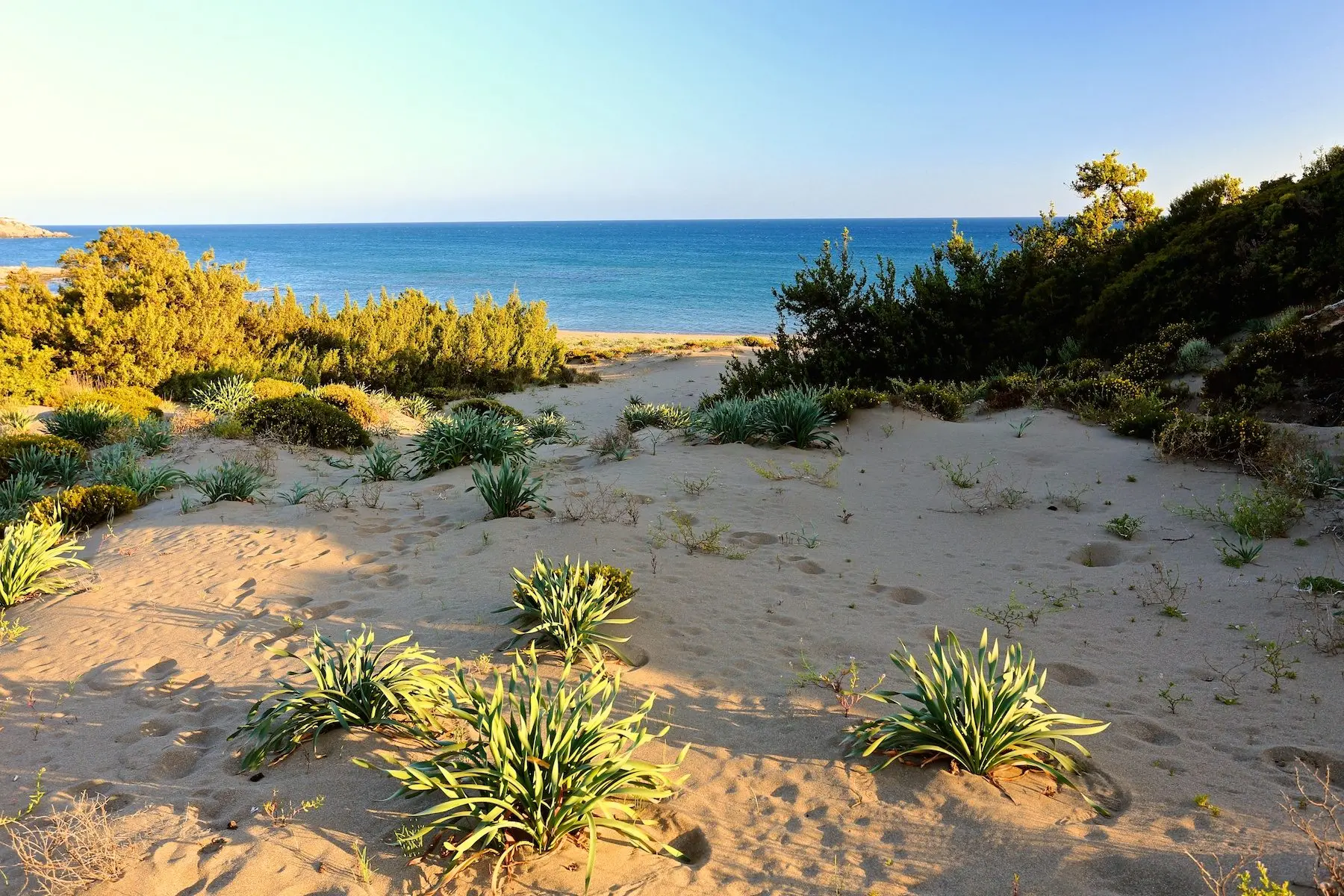 Immaculate Beauty – Land in Rhodes