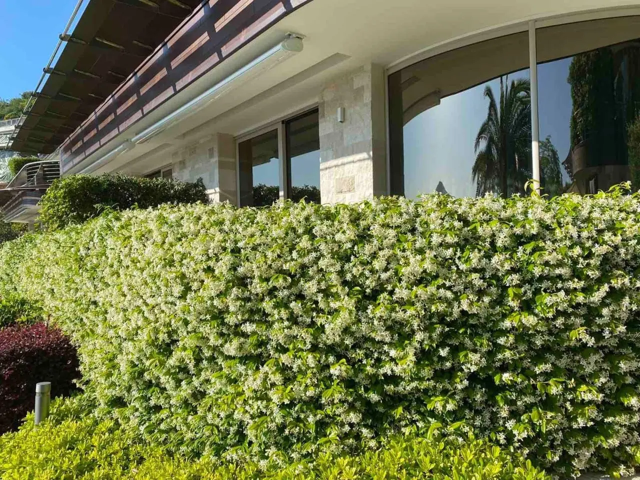 Elite apartment for sale in Budva