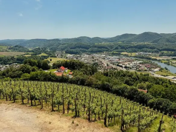 5 room luxury House in Mala Ševnica