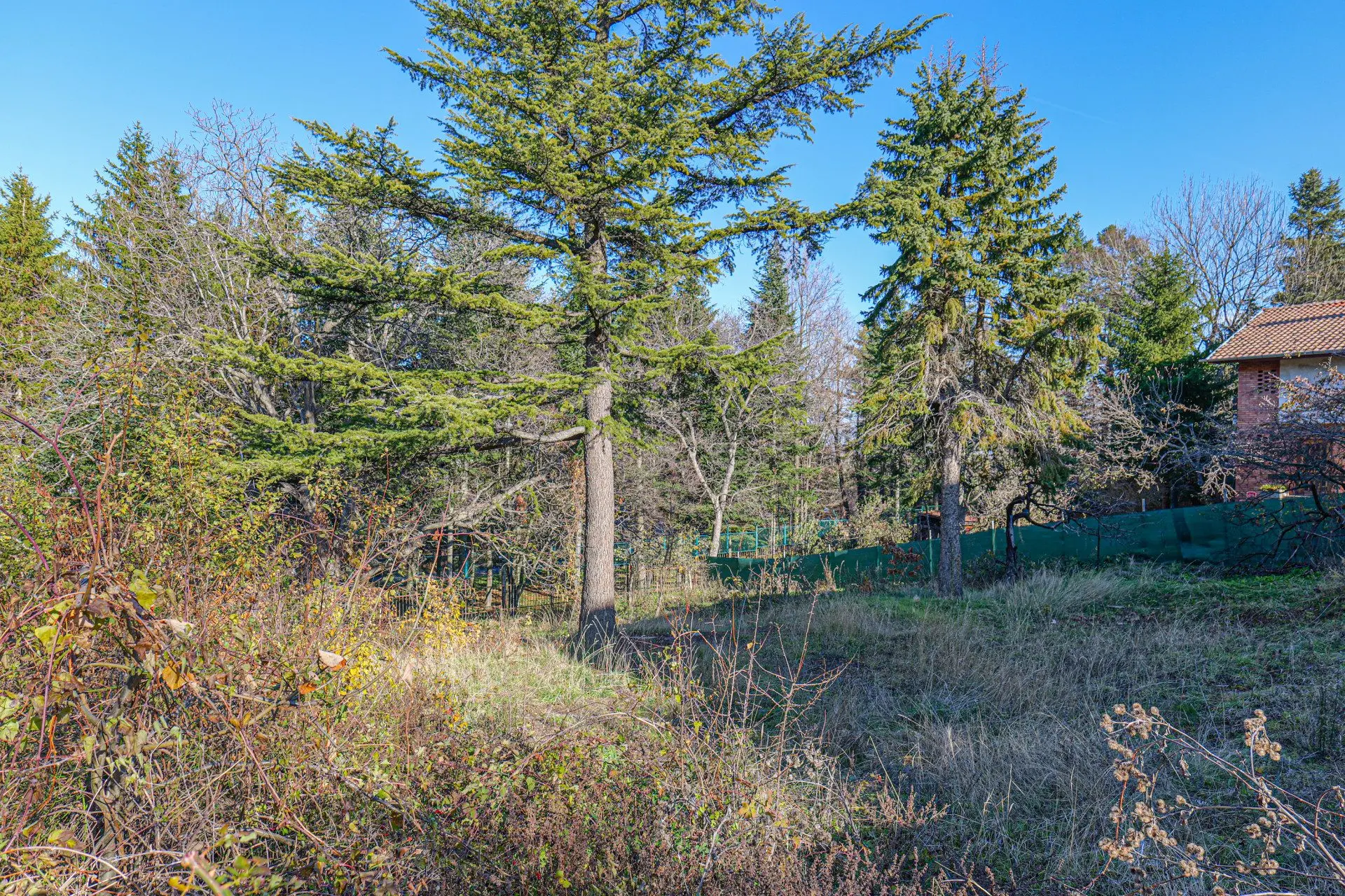 Plot in Boyana with a great location for sale