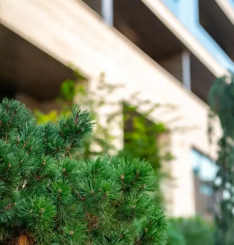 Apartment for sale 4 rooms Floreasca – Verdi Park area, Bucharest 215.6 sqm