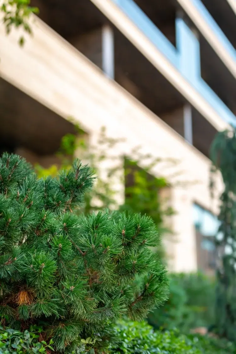 Apartment for sale 4 rooms Floreasca – Verdi Park area, Bucharest 215.6 sqm
