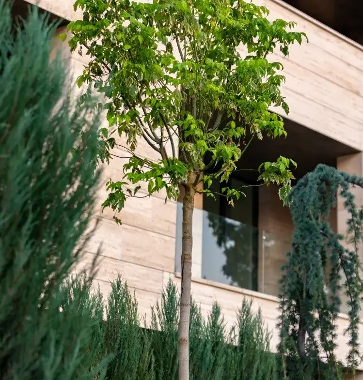 Apartment for sale 4 rooms Floreasca – Verdi Park area, Bucharest 215.6 sqm