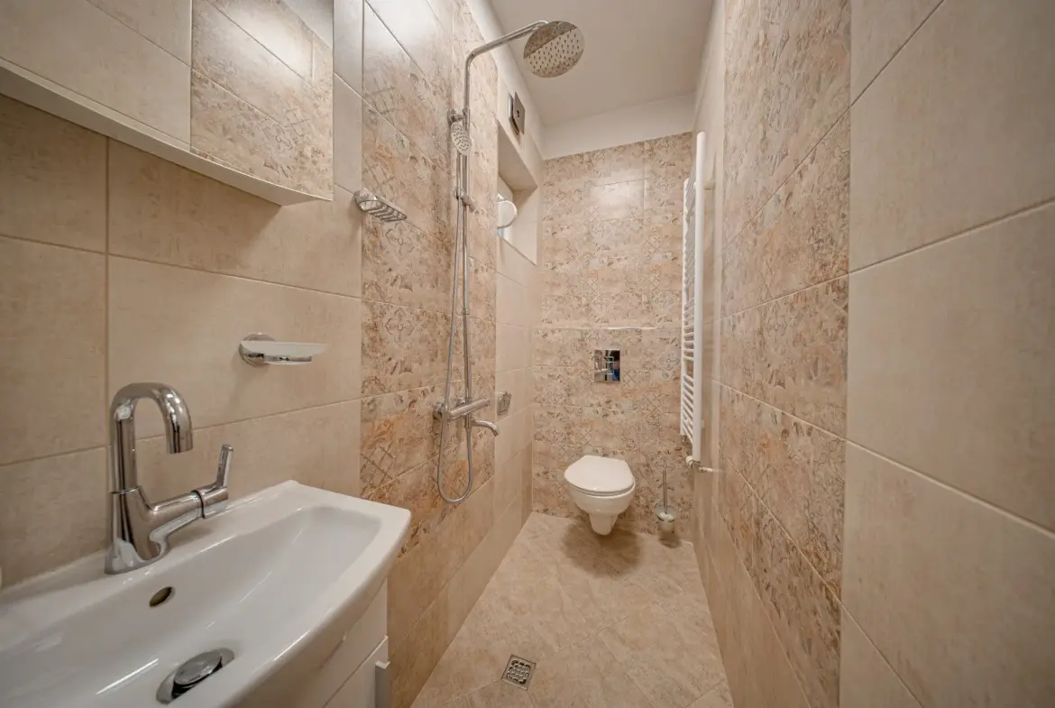 Fully renovated and partially furnished house in Oborishte for sale