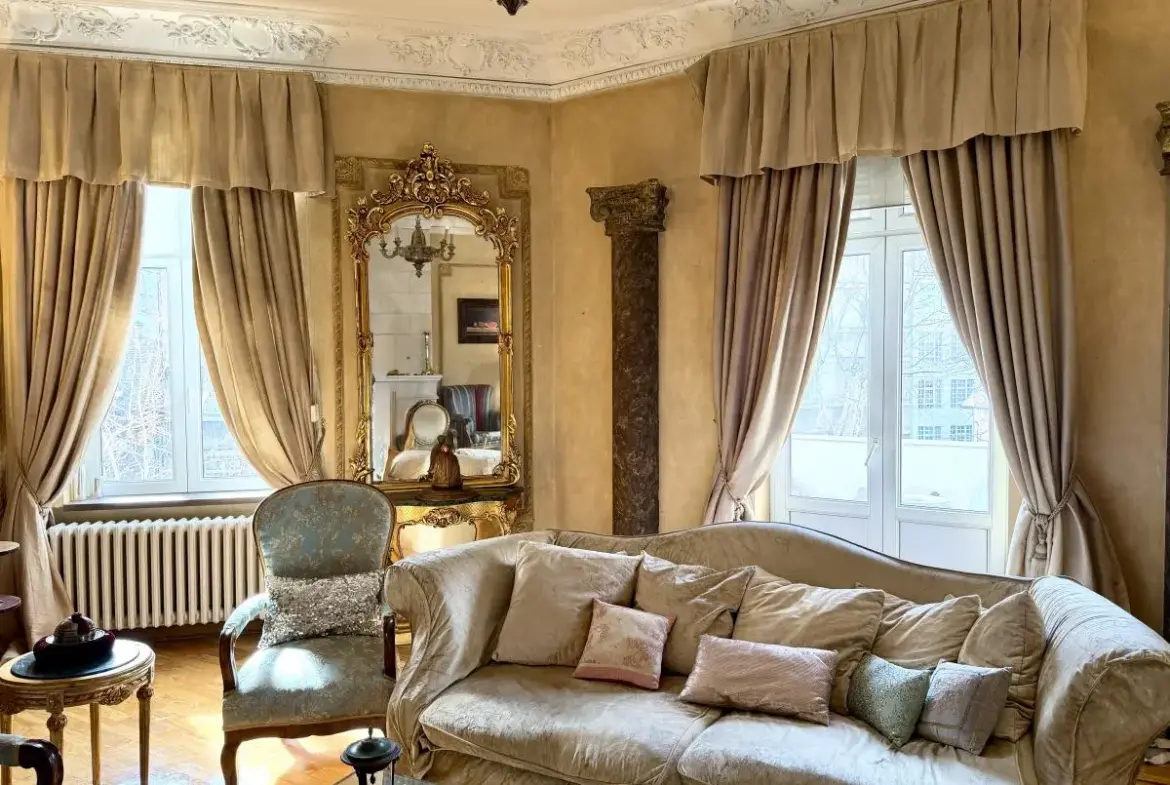 A Rare Salon Apartment in Dorćol