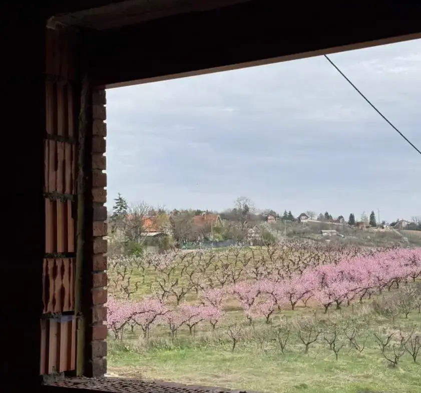 A house in the Magnolia residential community, just 30 minutes from the center of Belgrade