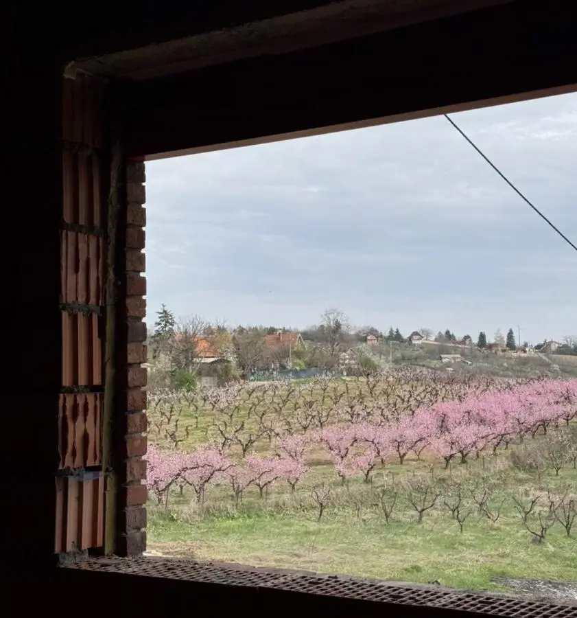 A house in the Magnolia residential community, just 30 minutes from the center of Belgrade