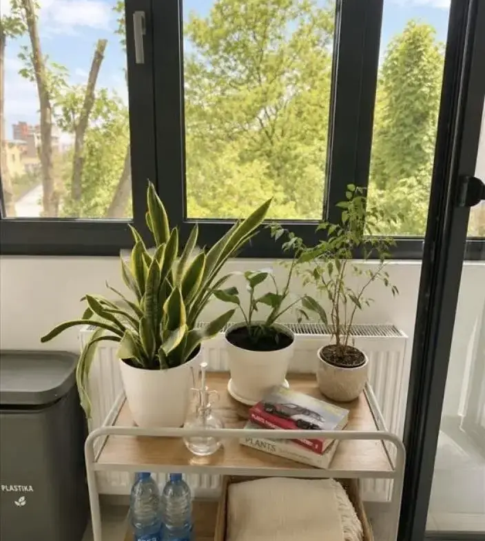 Cozy Two-Bedroom Apartment on Gospodara Vučića Street