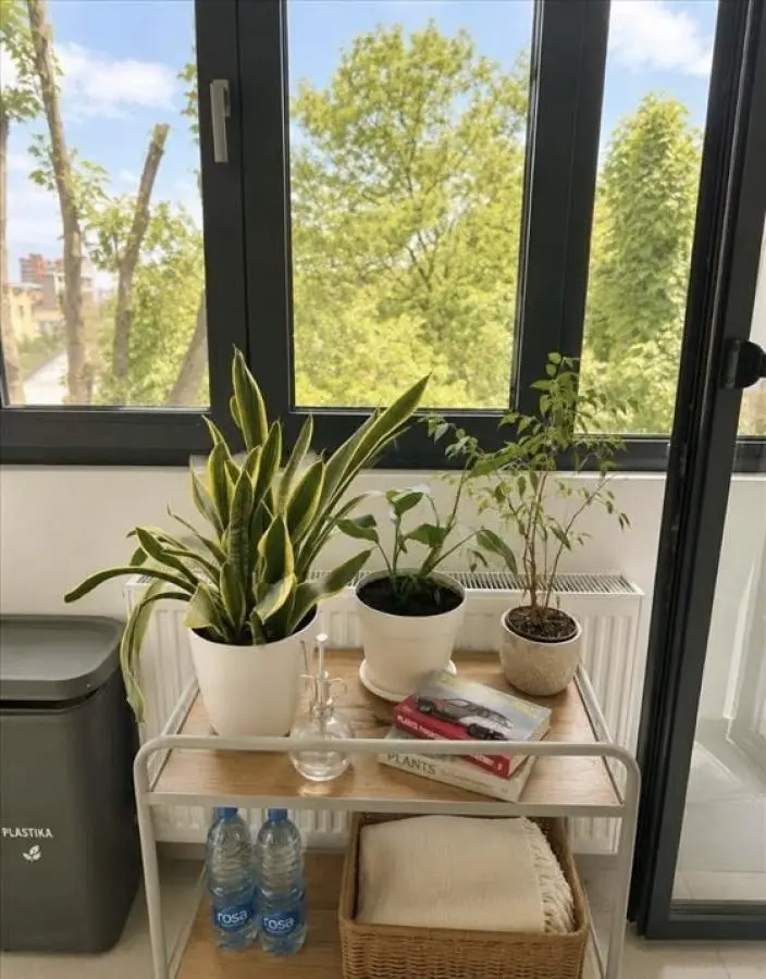 Cozy Two-Bedroom Apartment on Gospodara Vučića Street