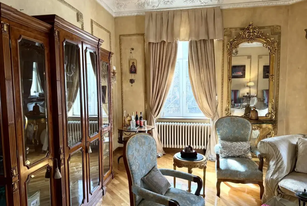 A Rare Salon Apartment in Dorćol