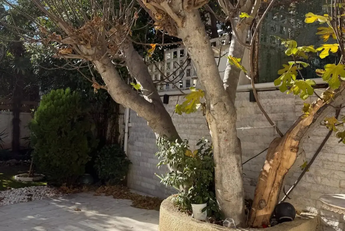 Duplex house with garden and garage in Palaio Psychiko