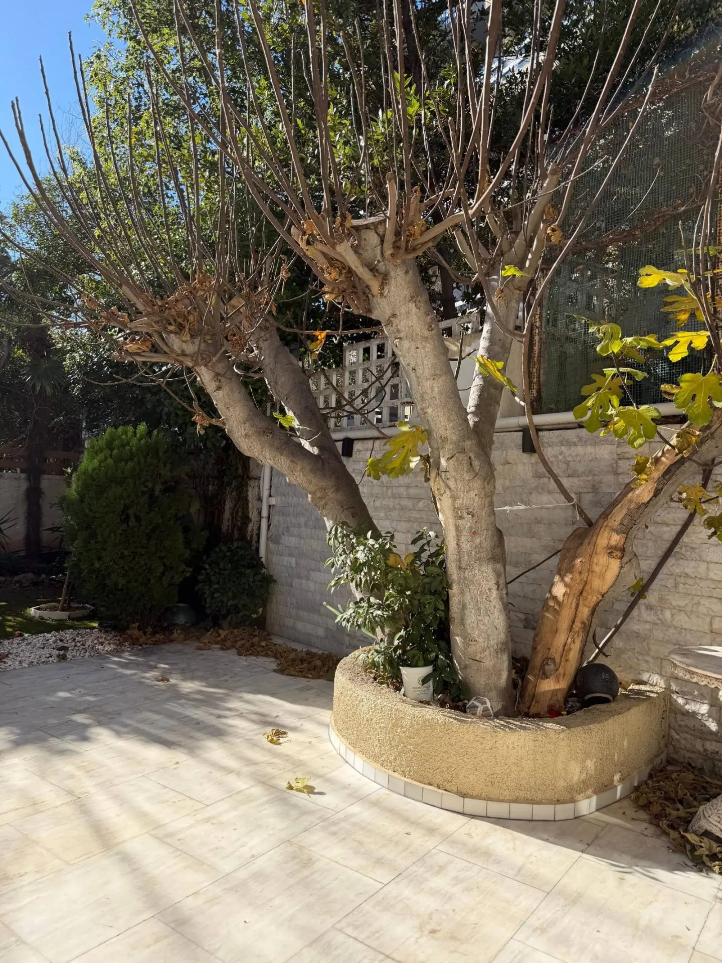 Duplex house with garden and garage in Palaio Psychiko