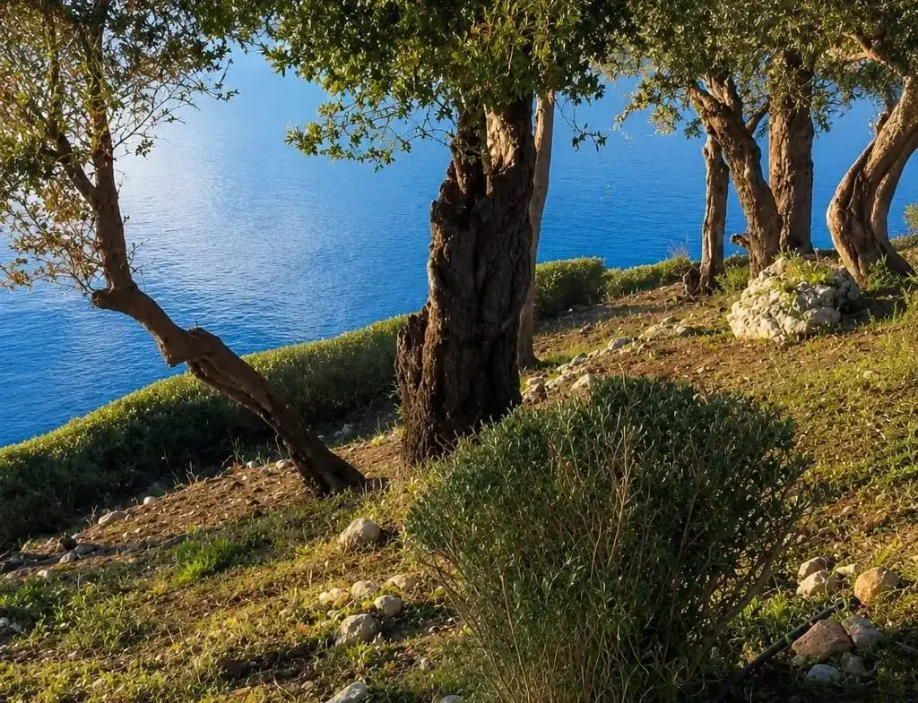 The awarded waterfront residence in Lefkada
