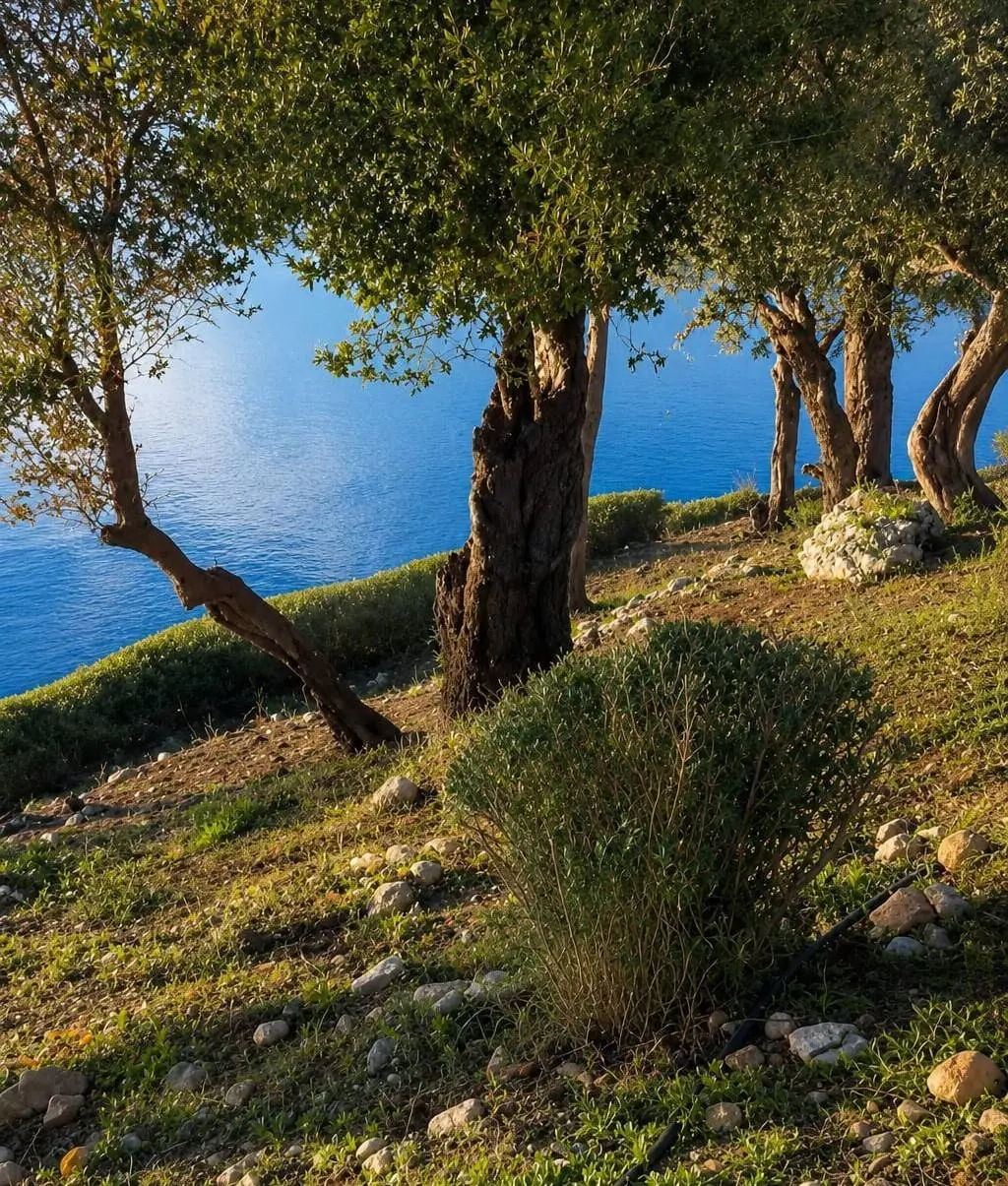 The awarded waterfront residence in Lefkada
