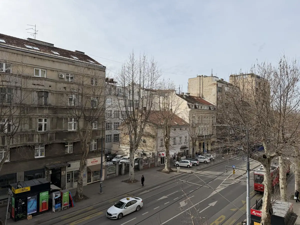 A Rare Salon Apartment in Dorćol
