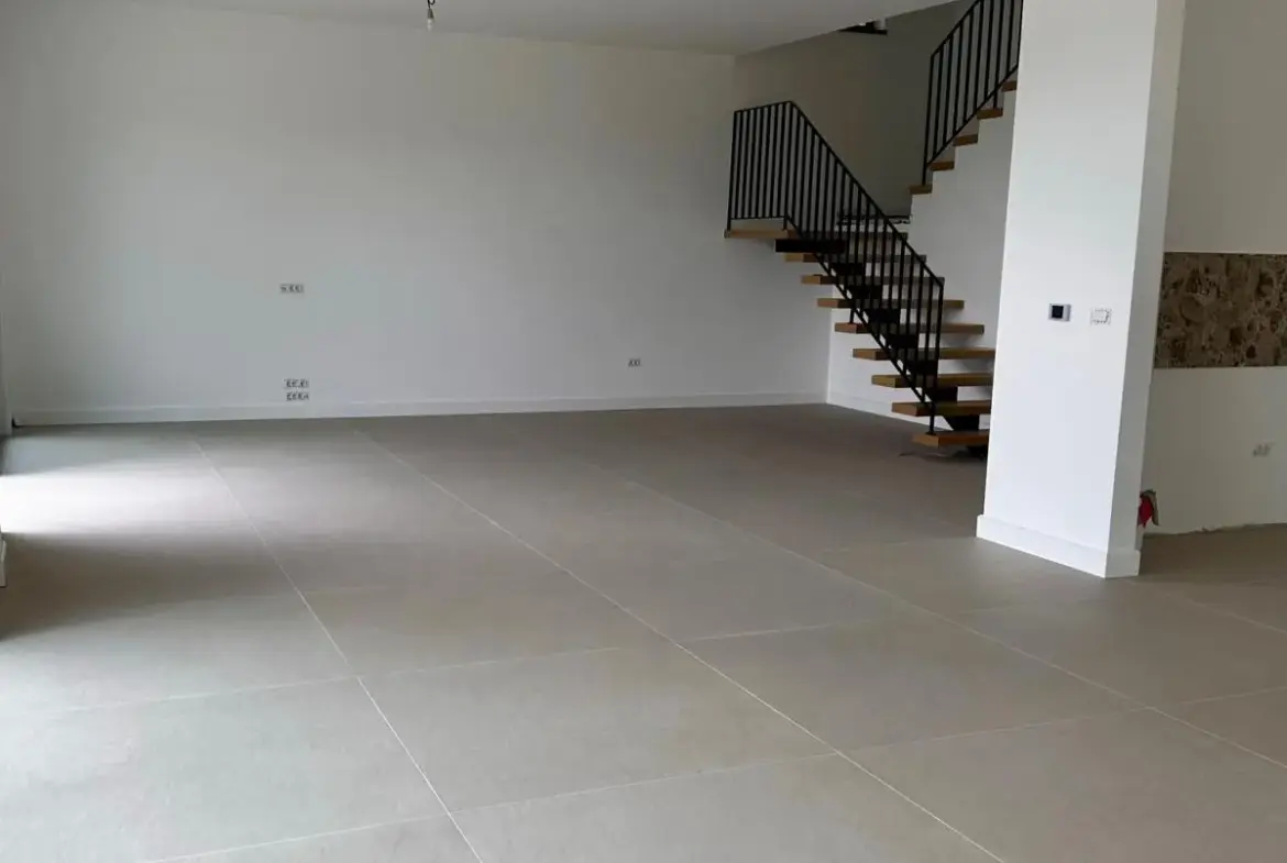 Villa in Sremska Kamenica