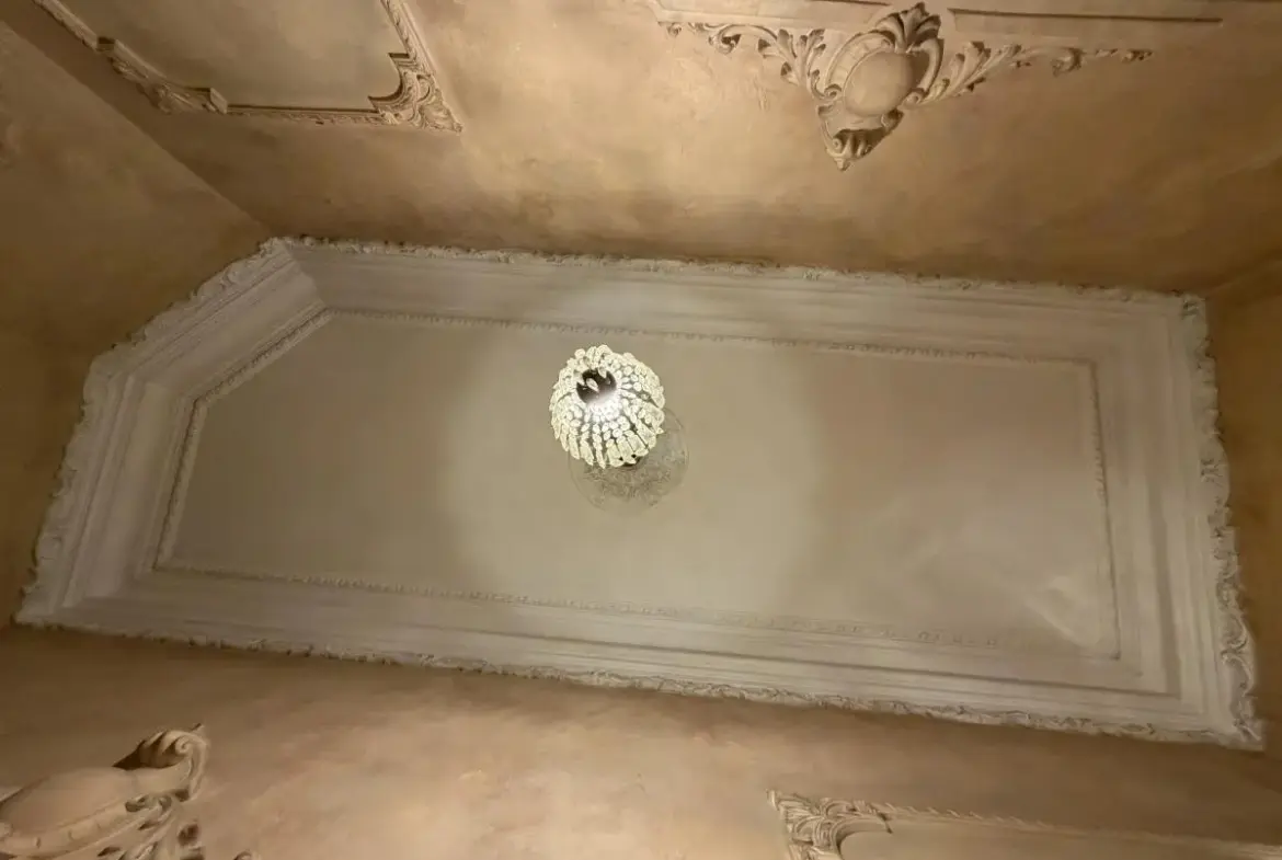 A Rare Salon Apartment in Dorćol