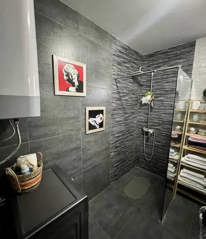 Stylish penthouse on Miloša Pocerca