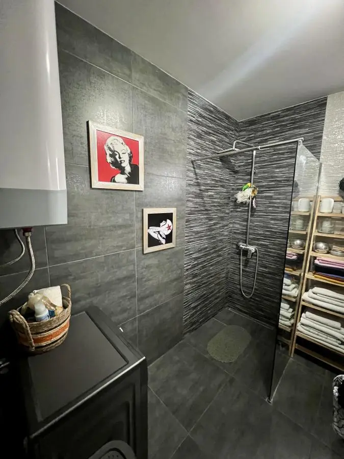 bh-7c797604a8a9 Stylish penthouse on Miloša Pocerca