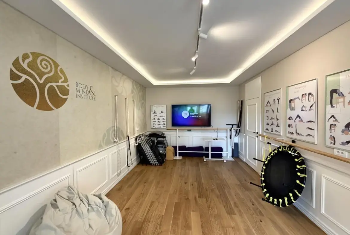 Renovated apartment in Dušana Vasiljeva Street