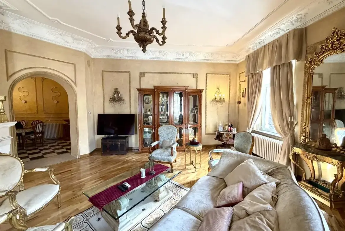 A Rare Salon Apartment in Dorćol