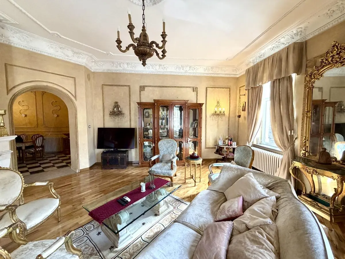 A Rare Salon Apartment in Dorćol