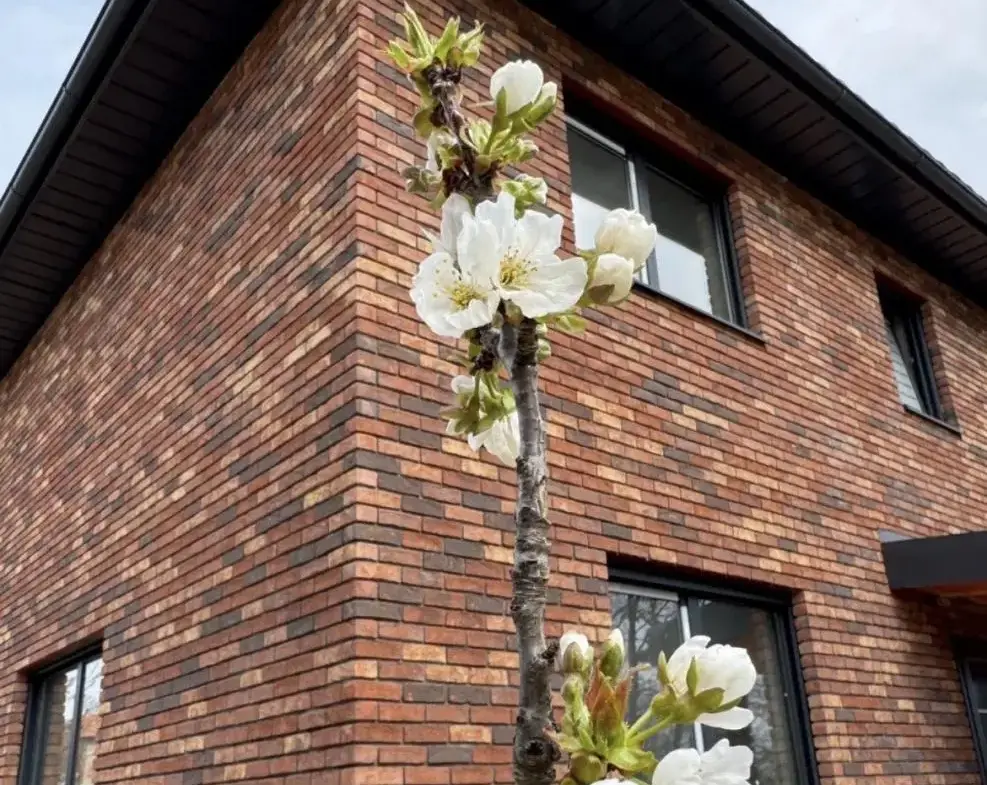 A house in the Magnolia residential community, just 30 minutes from the center of Belgrade