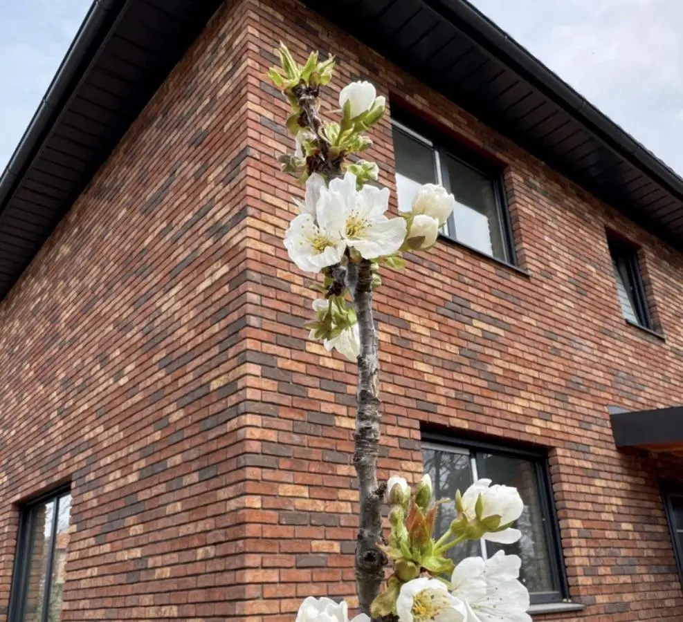 A house in the Magnolia residential community, just 30 minutes from the center of Belgrade