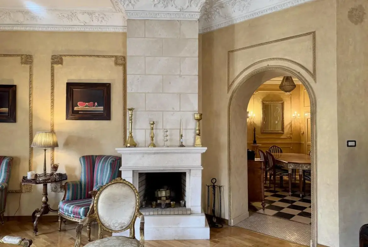 A Rare Salon Apartment in Dorćol