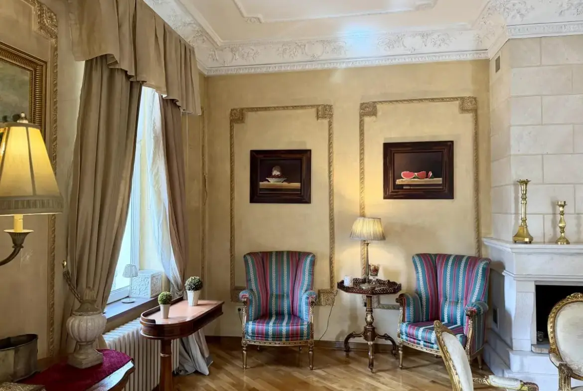 A Rare Salon Apartment in Dorćol