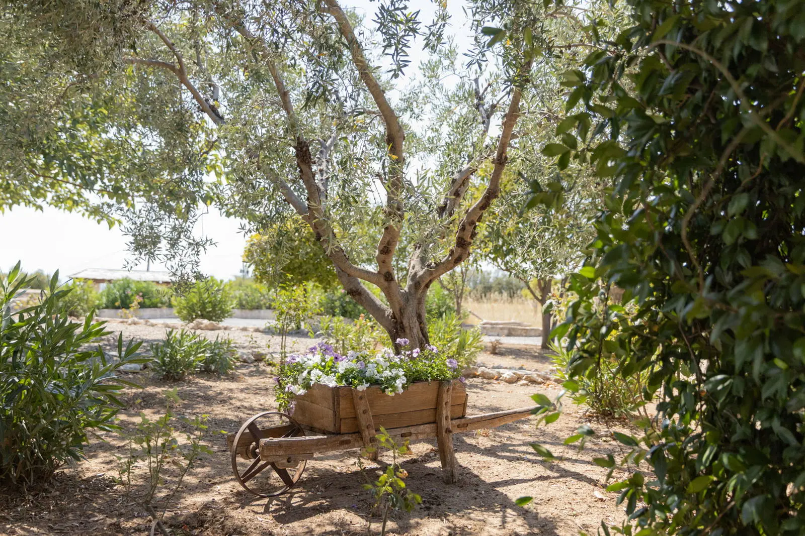 Unique estate only 35km from the center of Thessaloniki