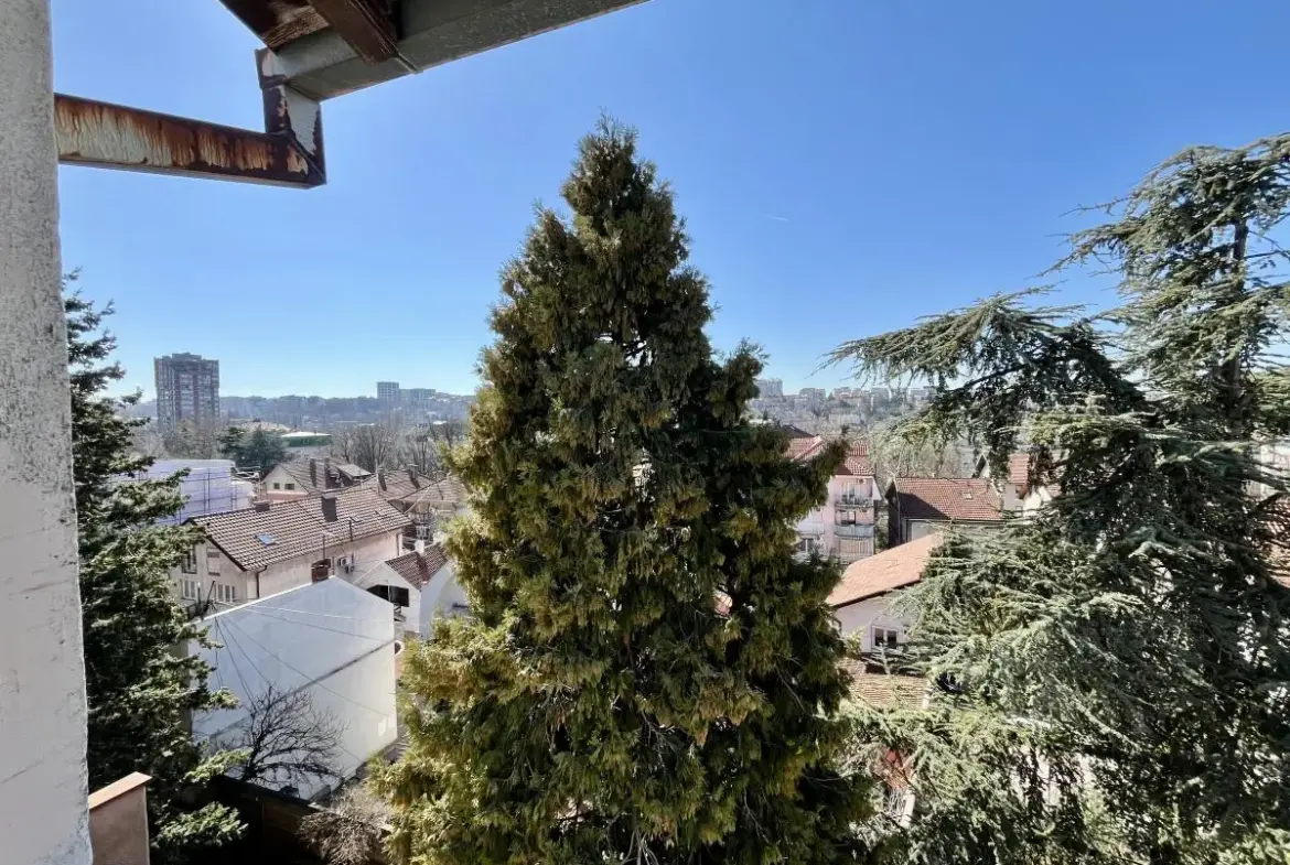Spacious apartment in Voždovac with 5 bedrooms and a private courtyard