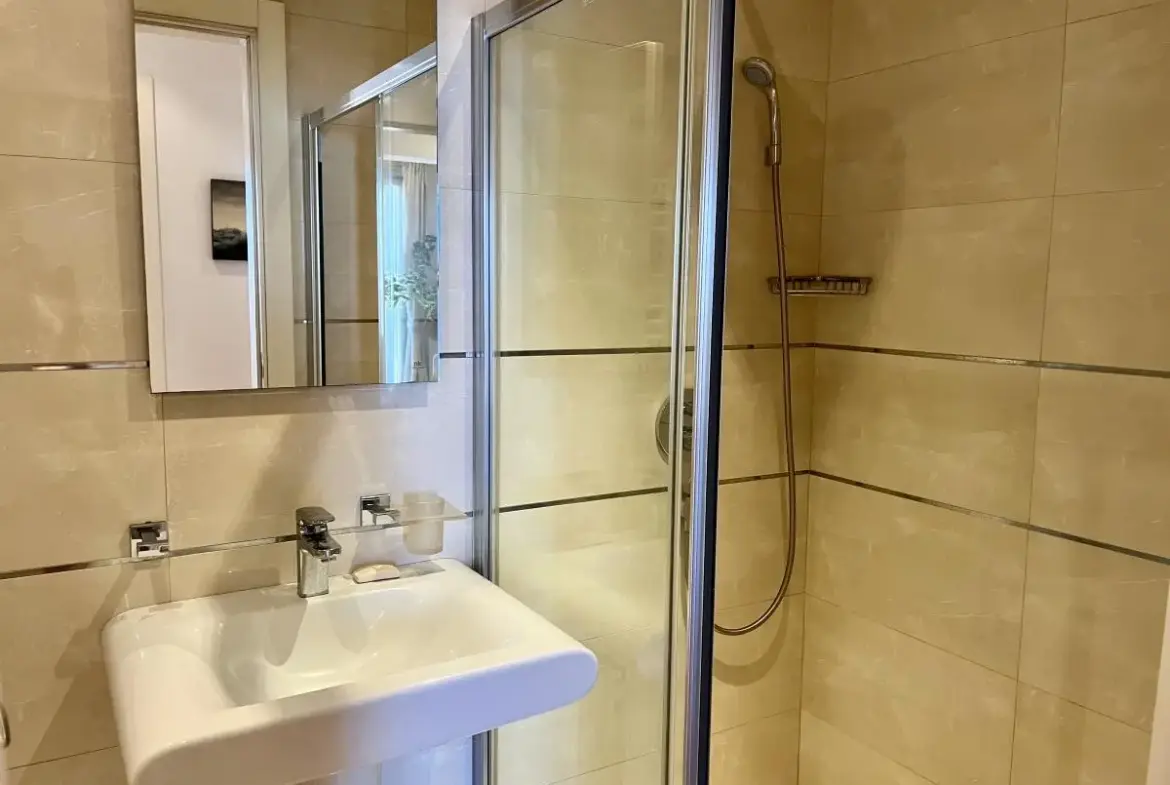 Three-room apartment in Dorćol