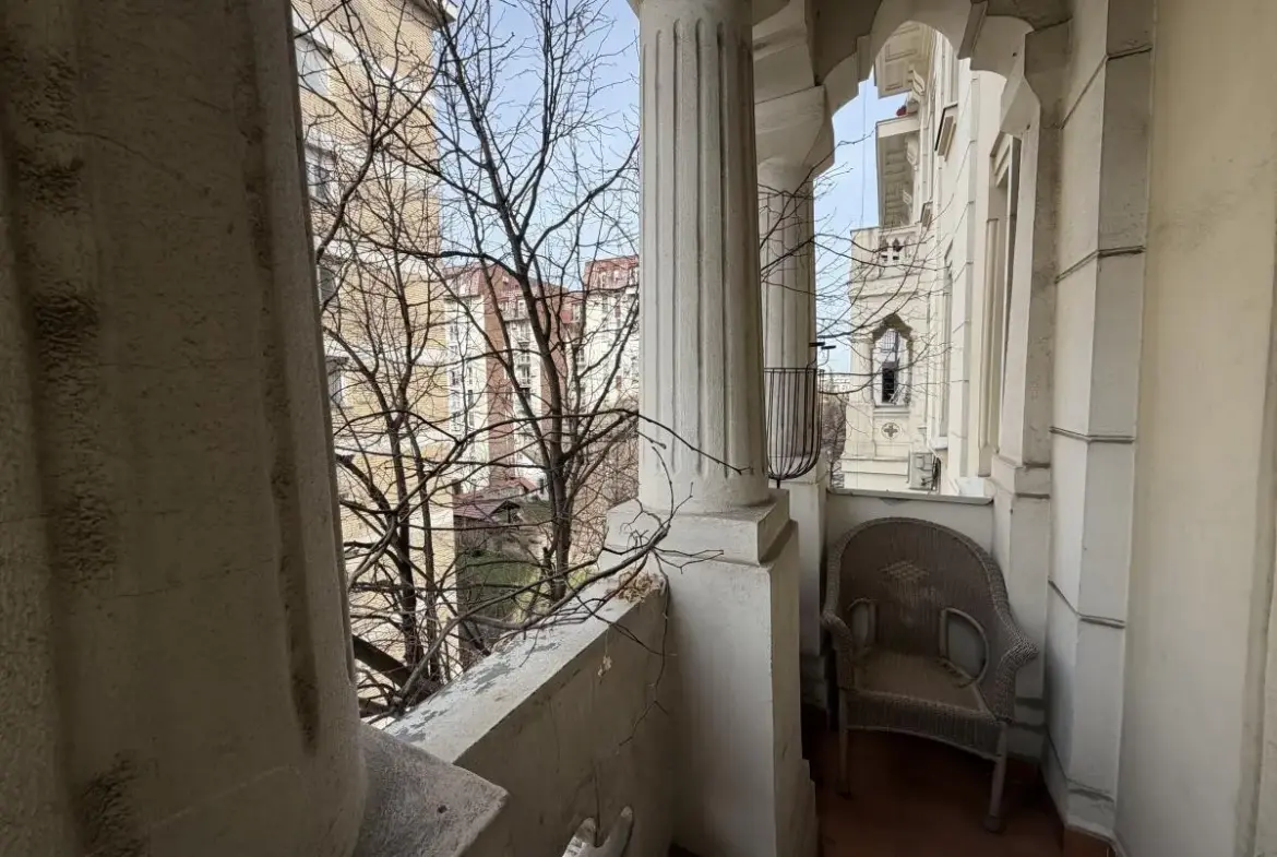 A Rare Salon Apartment in Dorćol