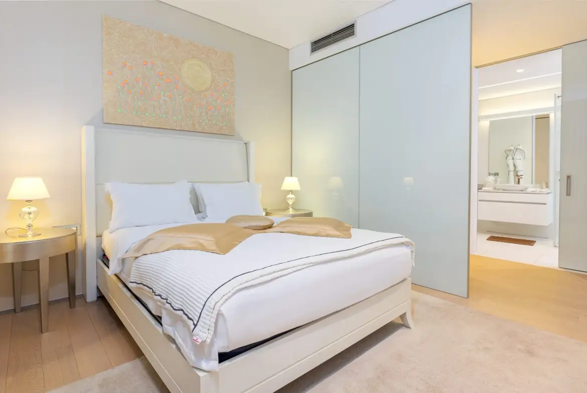 Luxurious and spacious apartment