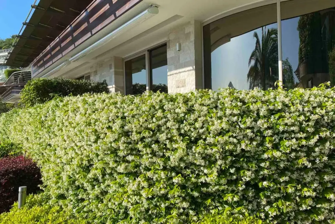 Apartment for Sale in Dukley Gardens, Budva – Waterfront Complex