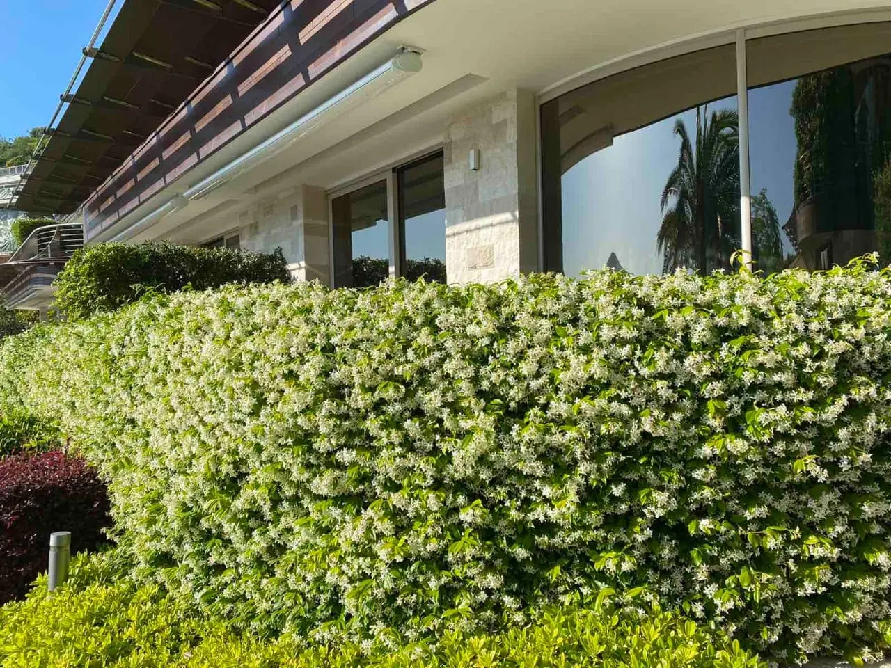 Apartment for Sale in Dukley Gardens, Budva – Waterfront Complex