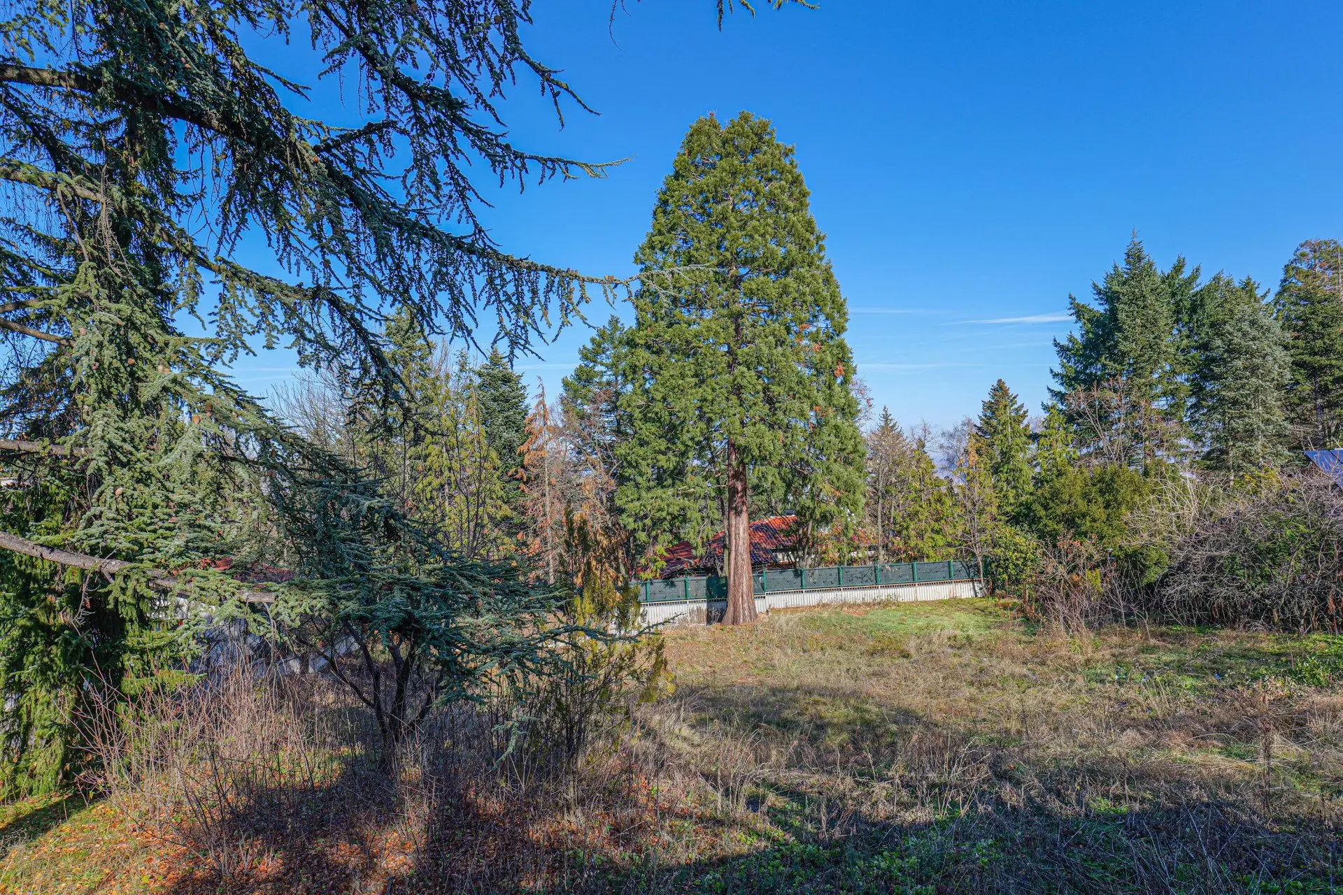 A plot of land in the most prestigious and desirable part of Boyana quarter