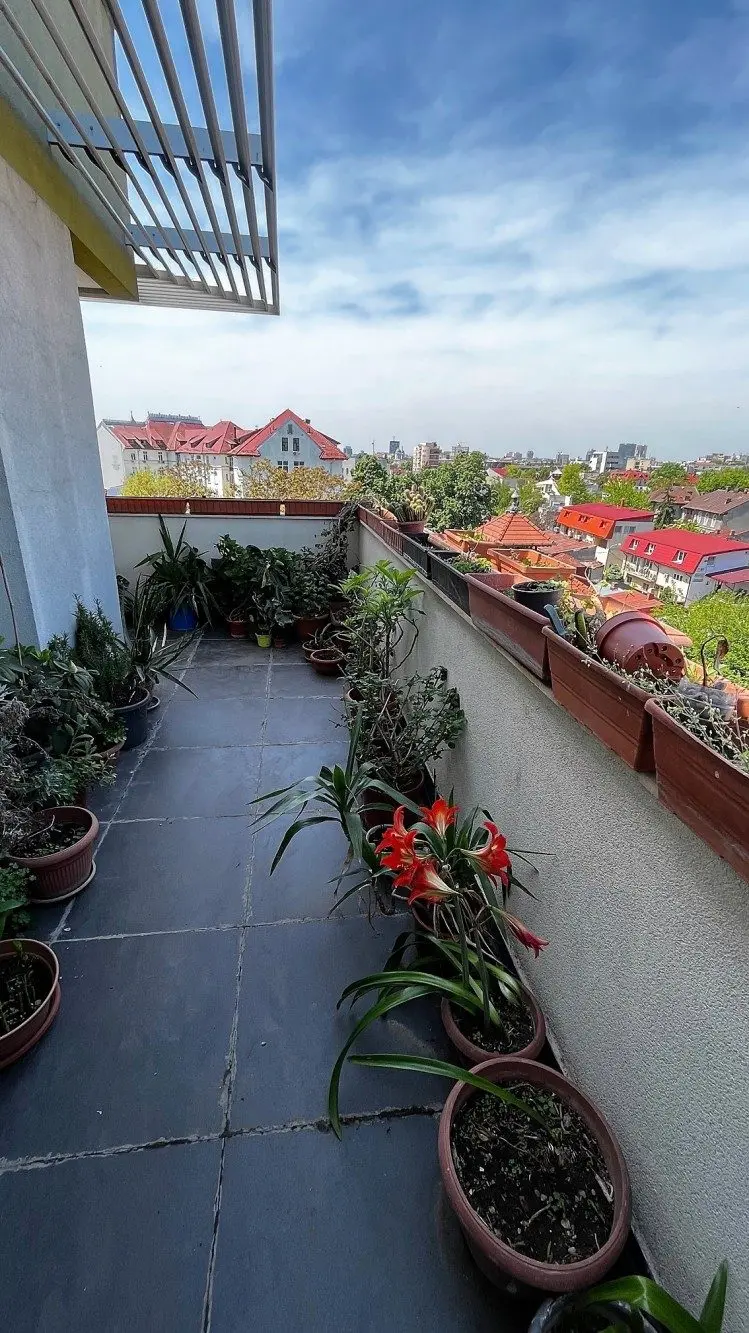Duplex for sale 5 room Ultracentral – Pache Protopopescu, Bucharest