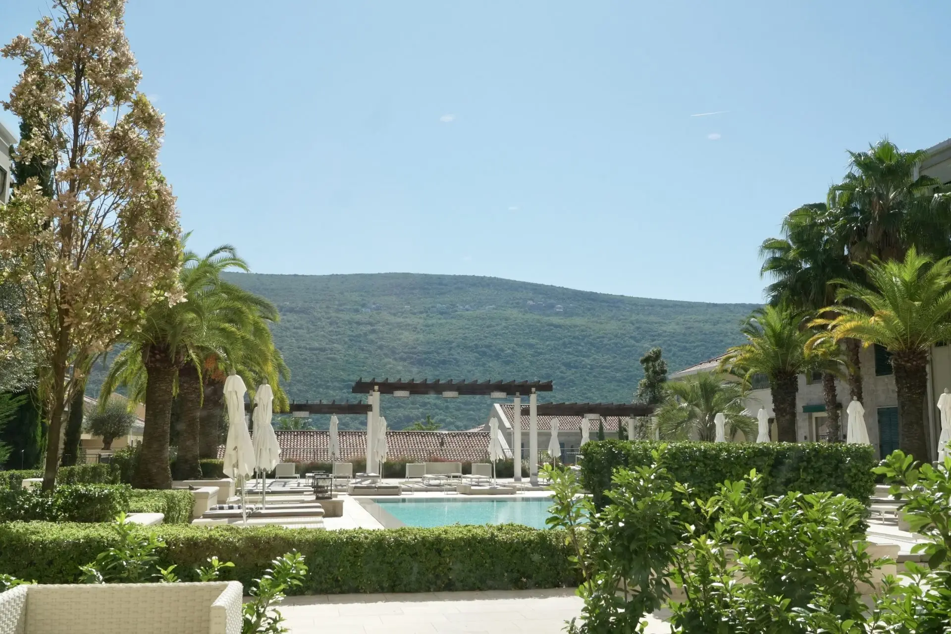 Luxury furnished 1bdr Apartment, with direct access to a swimming pool